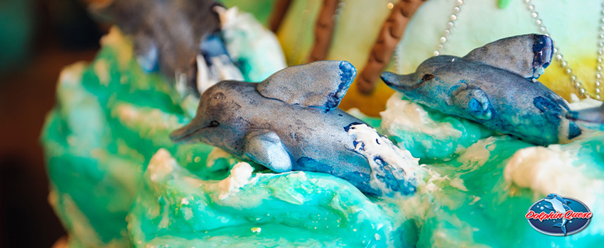 SST Dolphin-Themed Party Ideas for Your Kid's Next Birthday Party