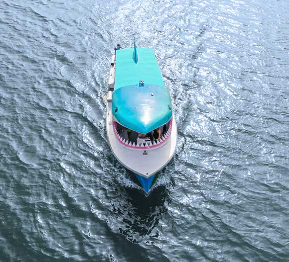 SST Shark Boat Drone Shot
